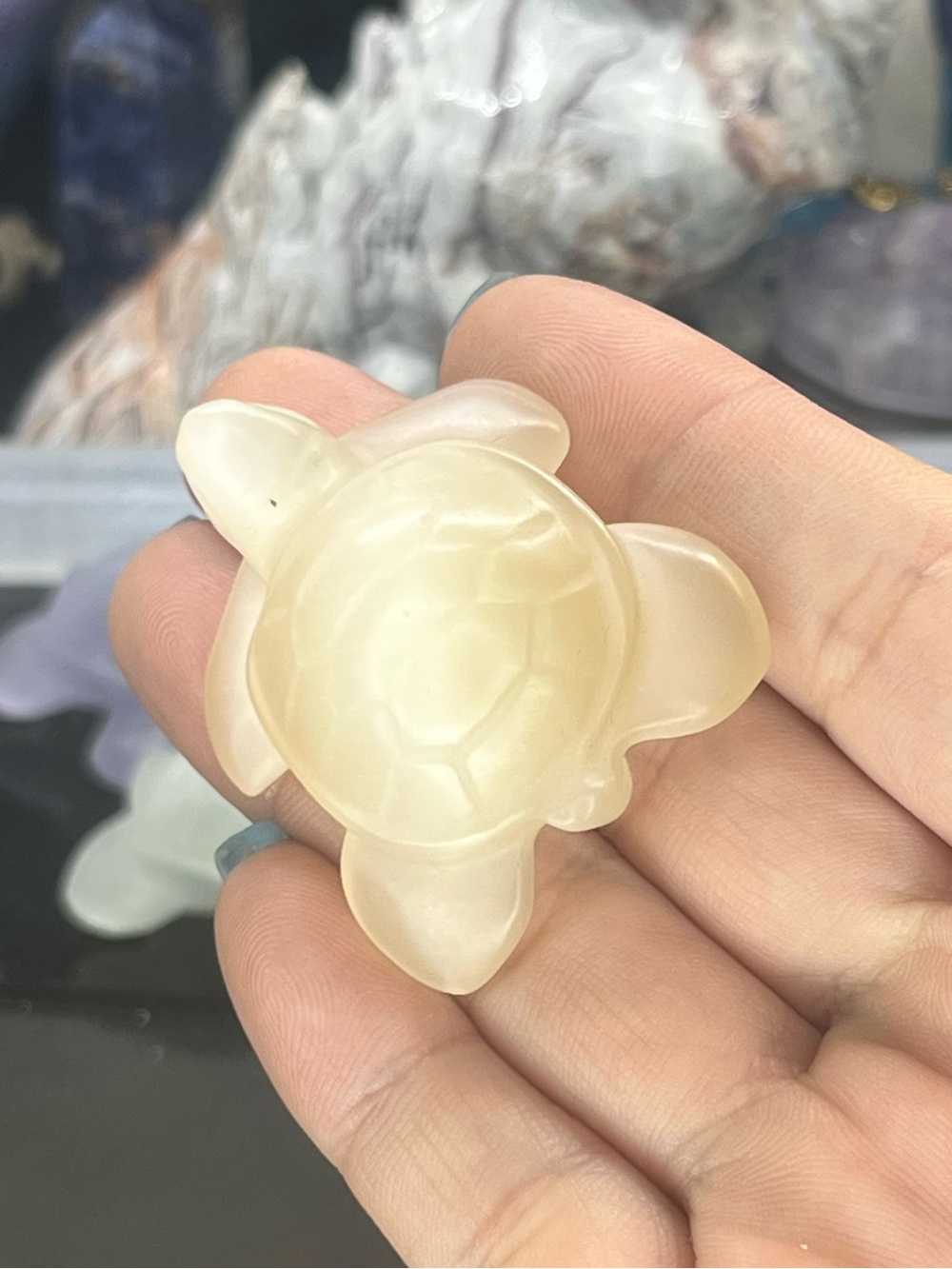 Cat eye Turtle Carving